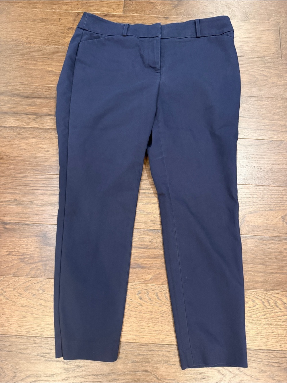 LOFT Women’s Julie Skinny Pants in Blue Size 10 - C60-045